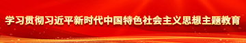 大屌捅大屄视频学习贯彻习近平新时代中国特色社会主义思想主题教育